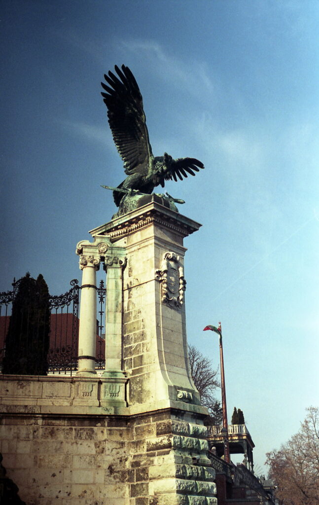 Agfa Colorflex C41 print film-11459