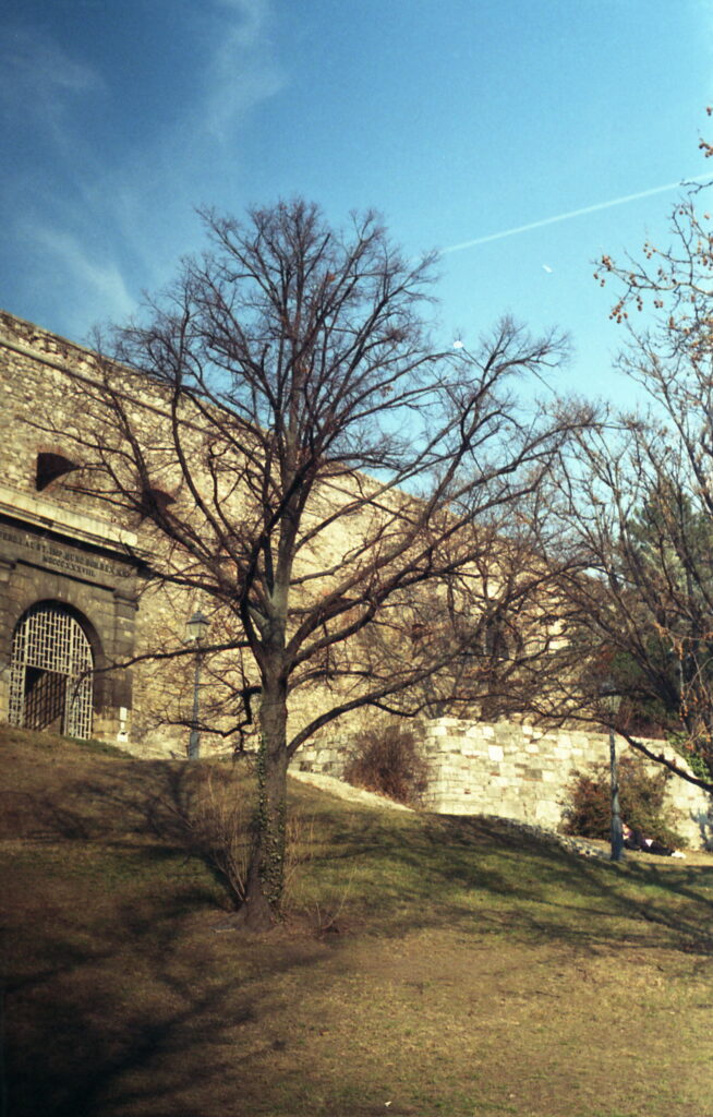 Agfa Colorflex C41 print film-11460