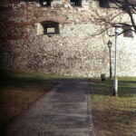 Agfa Colorflex C41 print film-11461