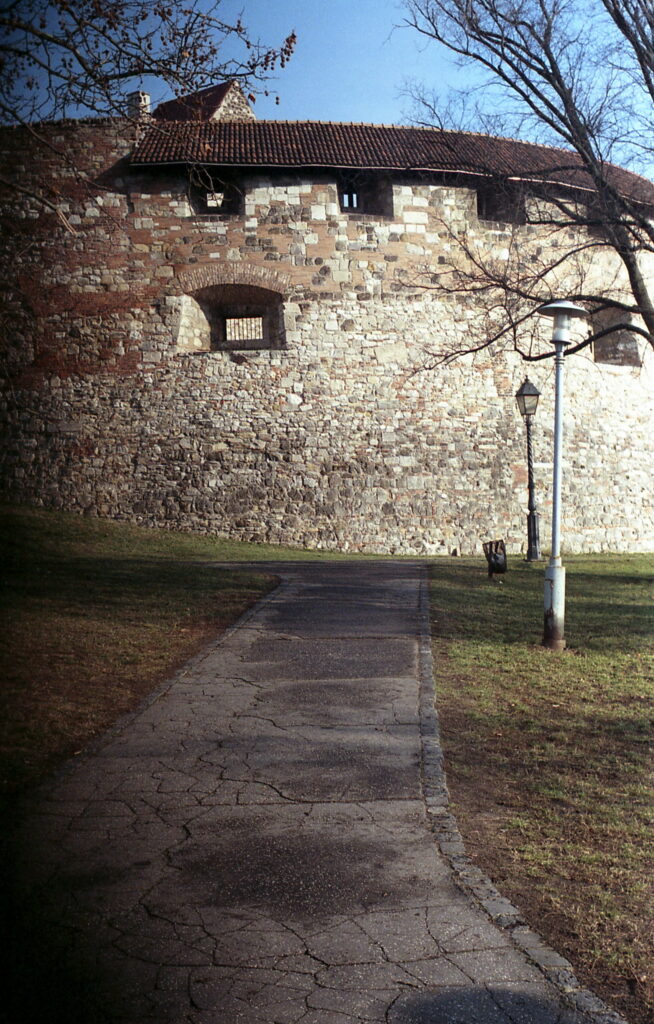 Agfa Colorflex C41 print film-11461