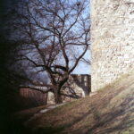 Agfa Colorflex C41 print film-11462
