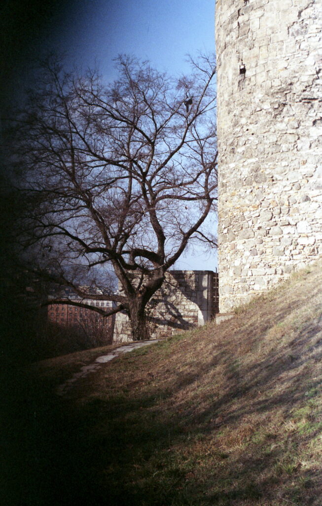 Agfa Colorflex C41 print film-11462