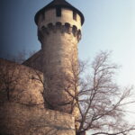 Agfa Colorflex C41 print film-11464