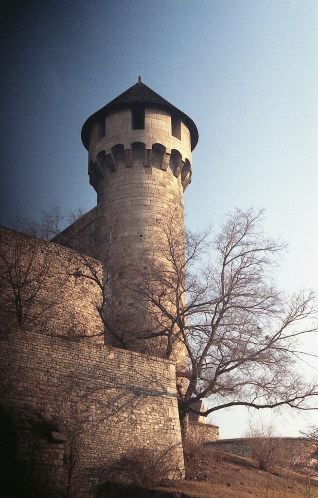 Agfa Colorflex C41 print film-11464