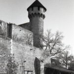 Agfa Selectaflex Fomapan 100 R09-11465