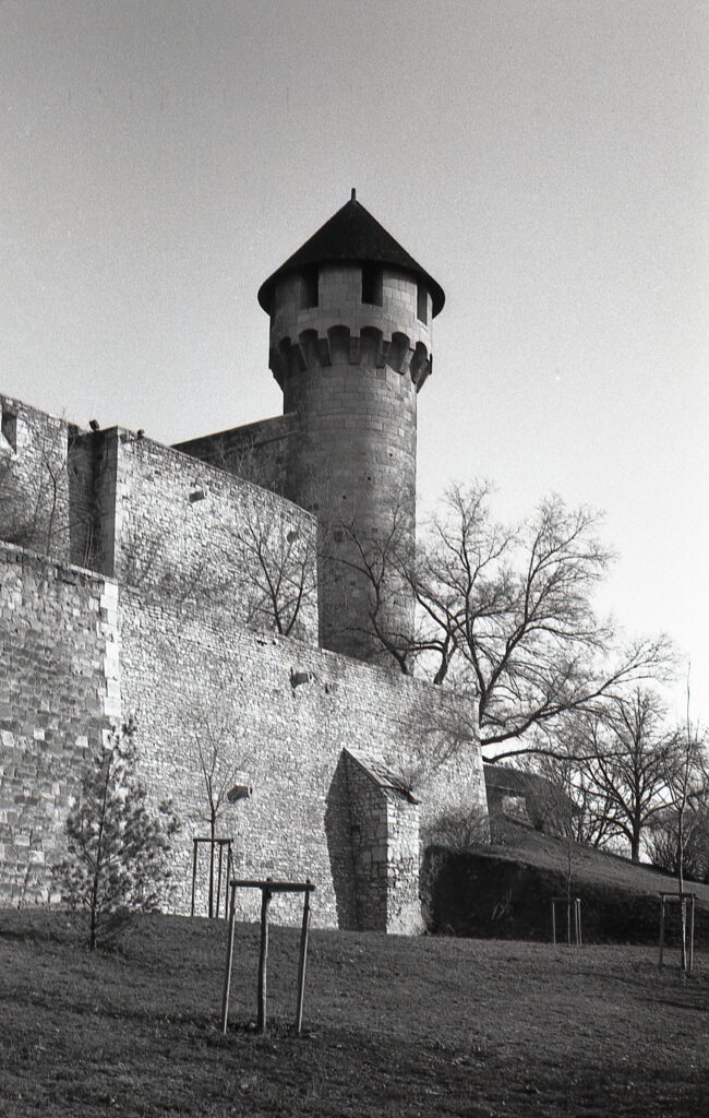 Agfa Selectaflex Fomapan 100 R09-11465