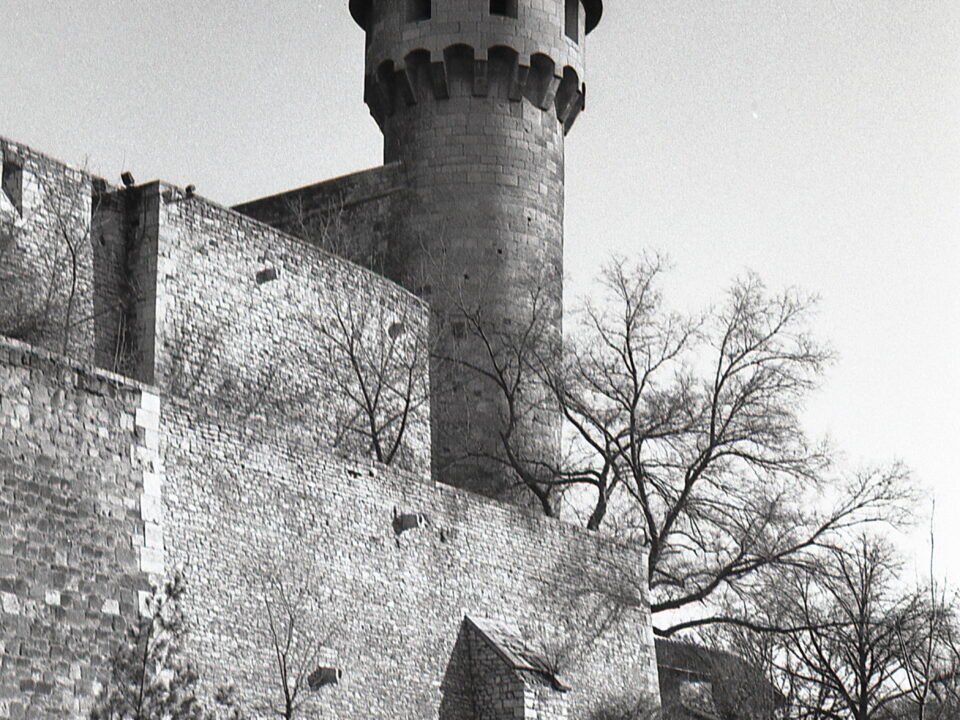 Agfa Selectaflex Fomapan 100 R09