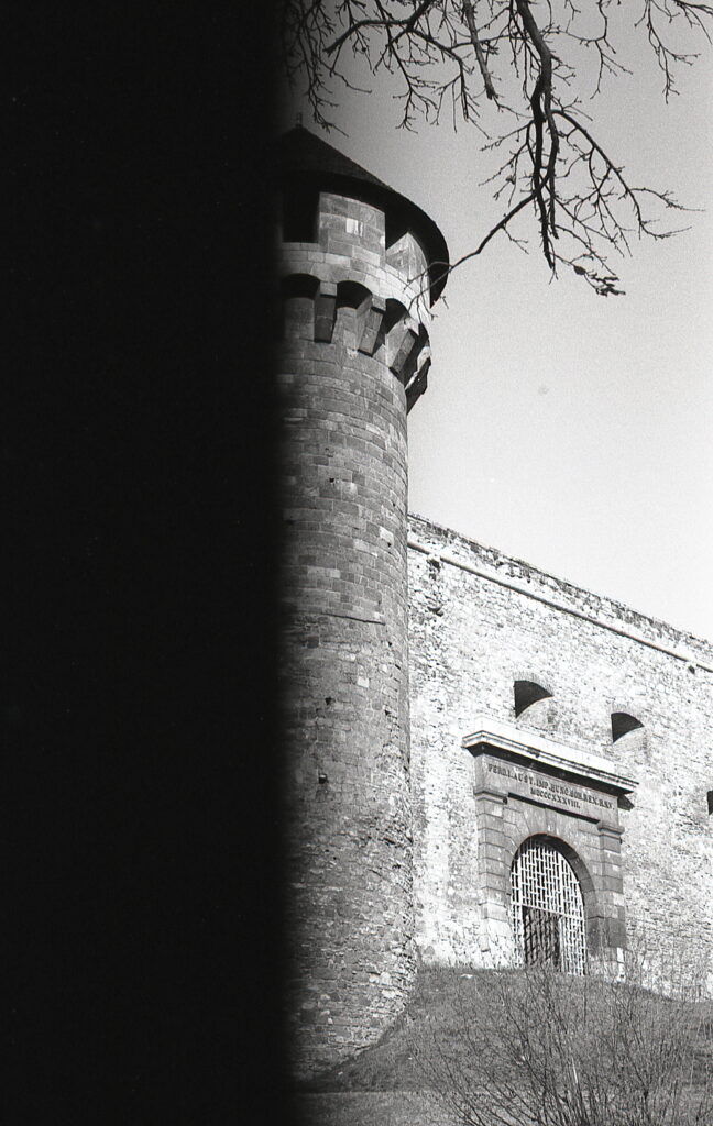 Agfa Selectaflex Fomapan 100 R09-11466
