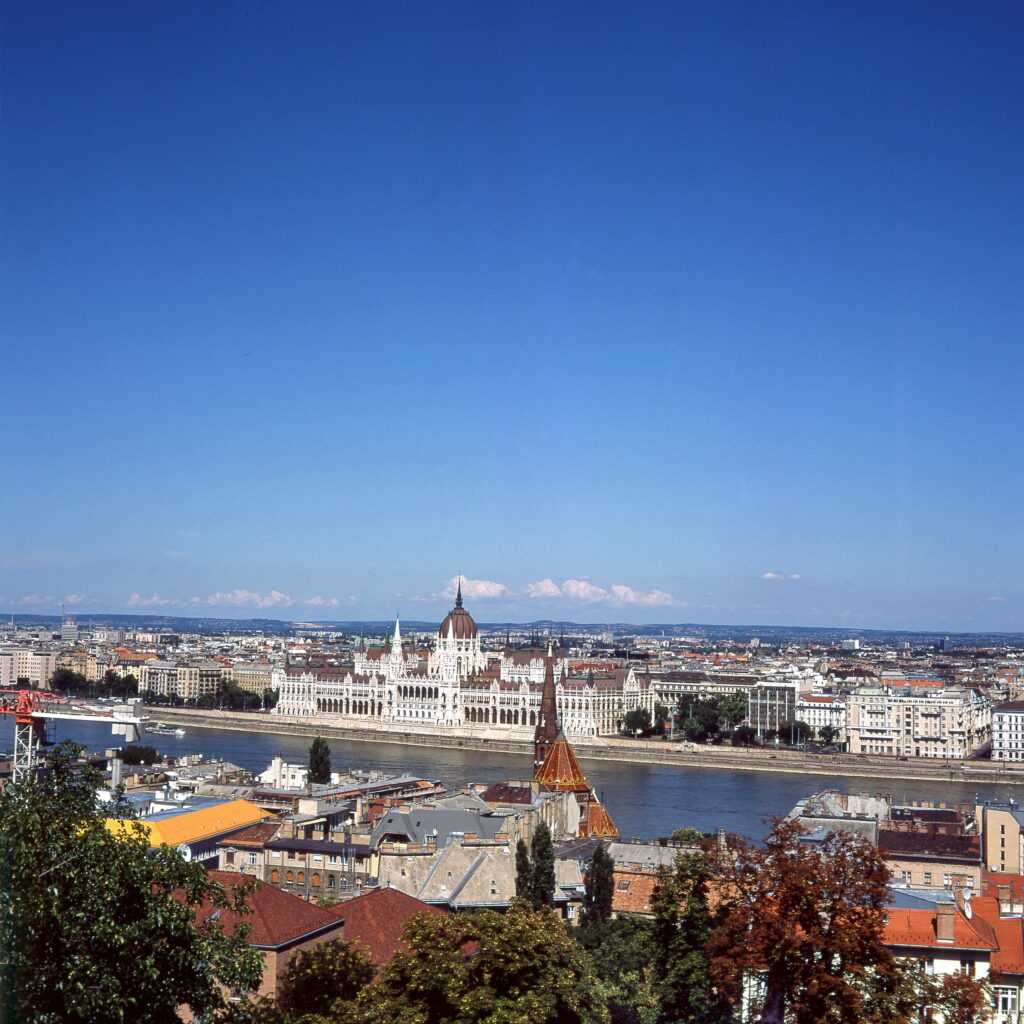 Certo Six Provia 100-9607