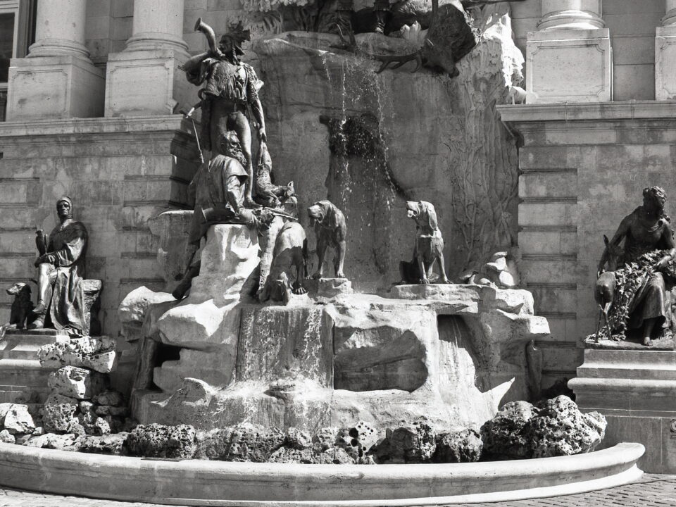 Certo Six Fomapan 100 LQN