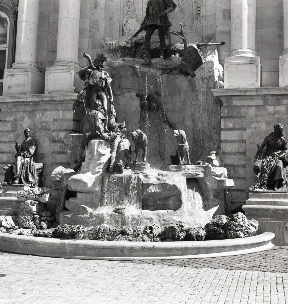 Certo Six Fomapan 100 LQN-8849