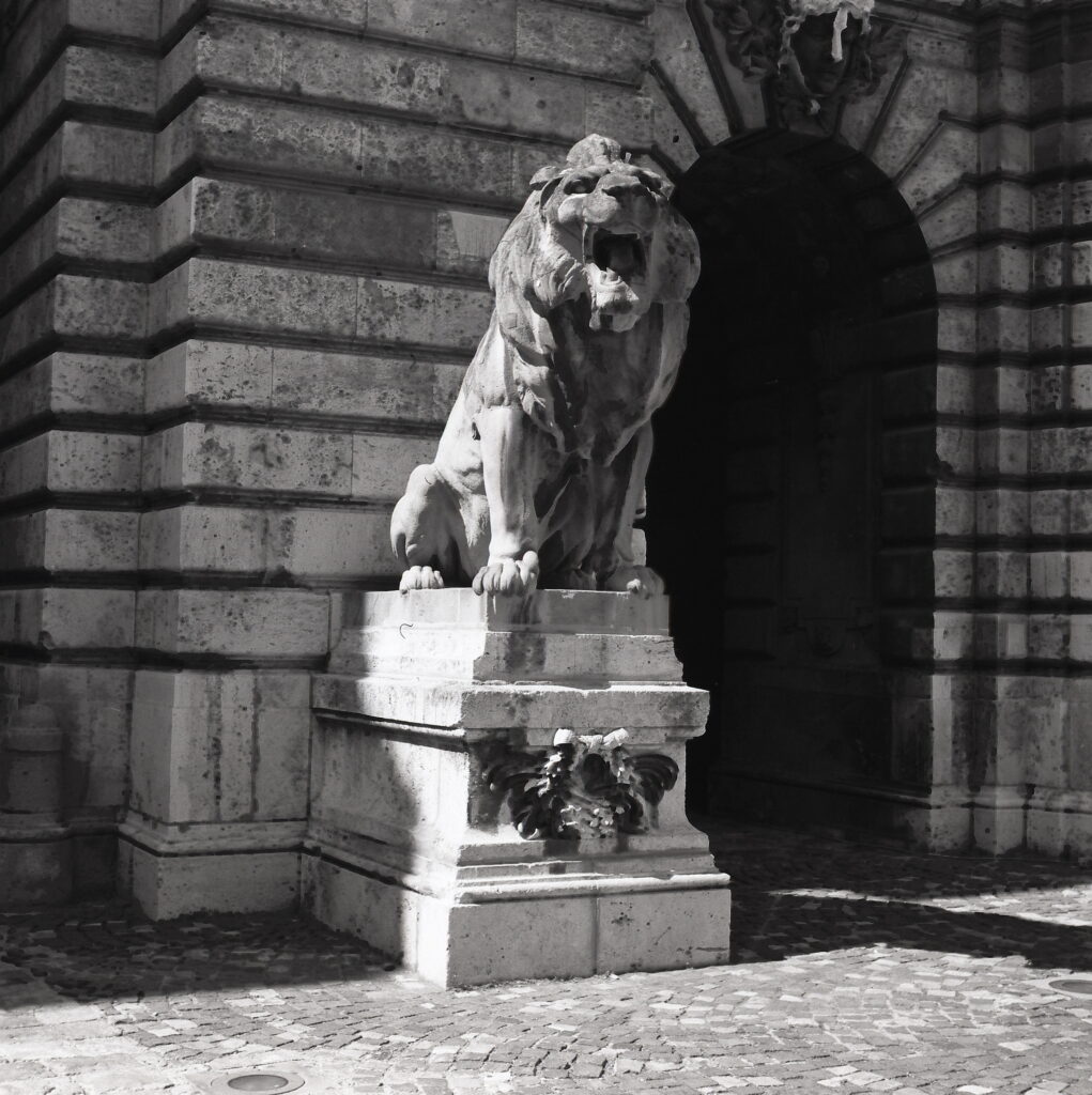 Certo Six Fomapan 100 LQN-8850