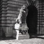 Certo Six Fomapan 100 LQN-8850