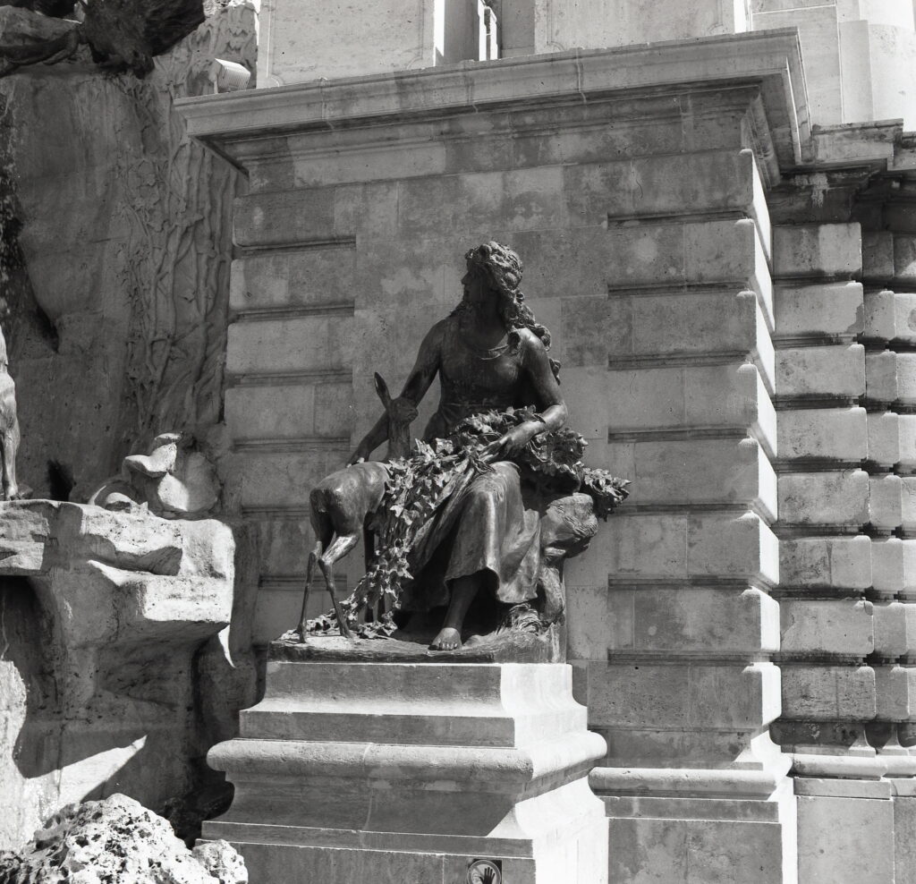 Certo Six Fomapan 100 LQN-8852