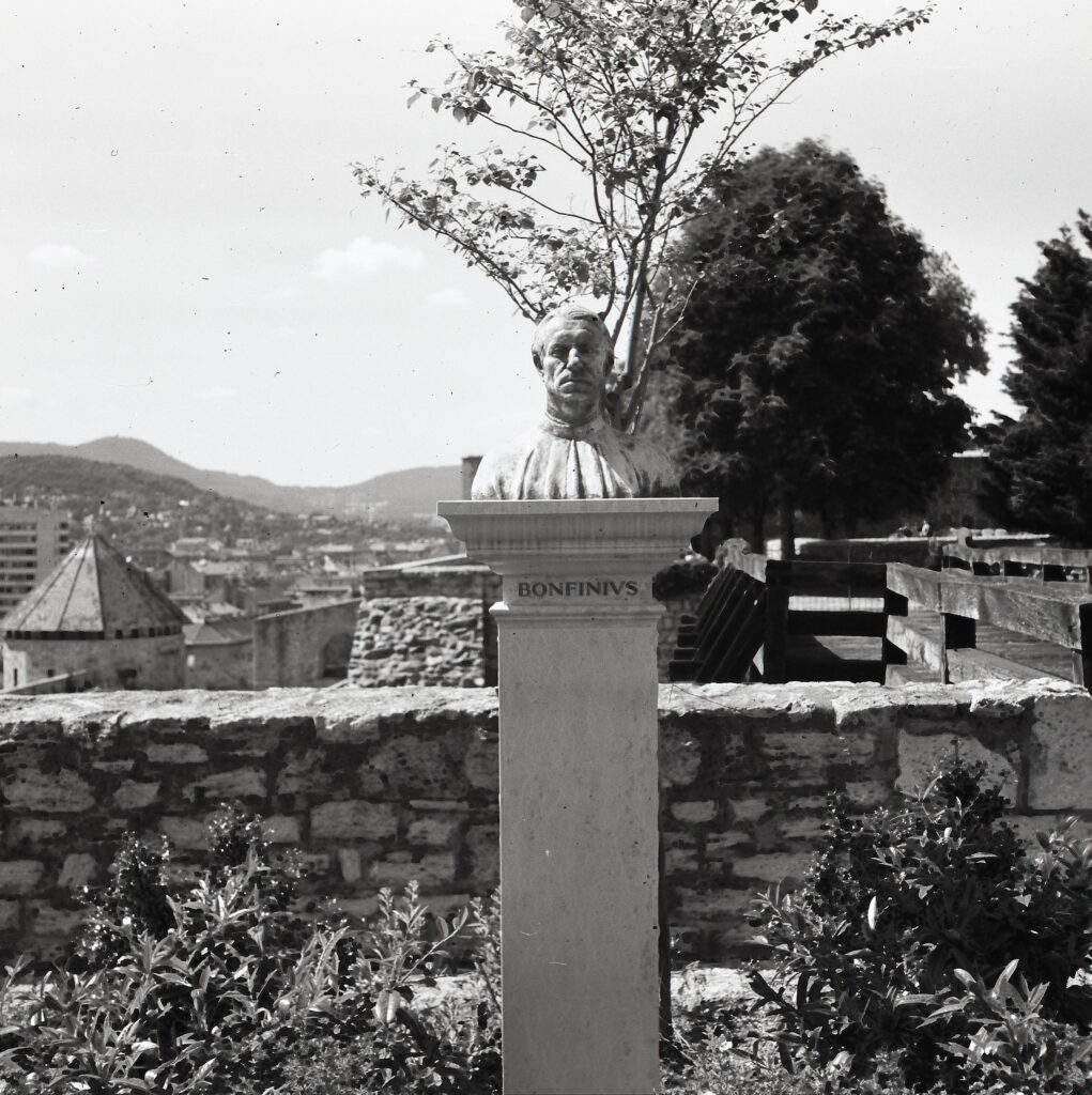 Certo Six Fomapan 100 LQN-8853