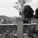 Certo Six Fomapan 100 LQN-8853