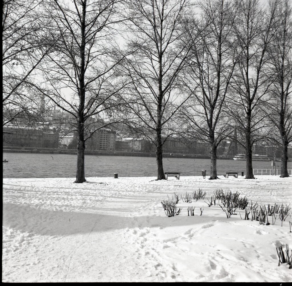 Certo Six 6x6 Fomapan 100 Ultra-12855