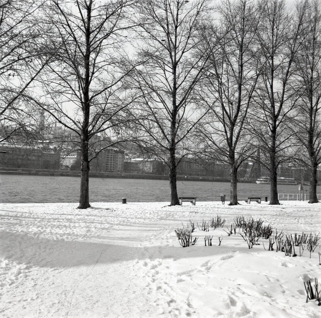 Certo Six 6x6 Fomapan 100 Ultra-12857