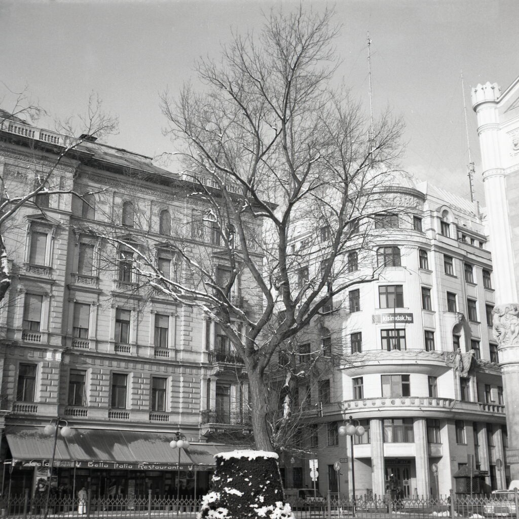 Certo Six 6x6 Fomapan 100 Ultra-12864