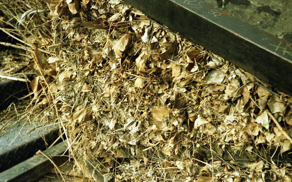Contax IIIa Sonnar 5cm f1.5 Kodak UC 100-8500