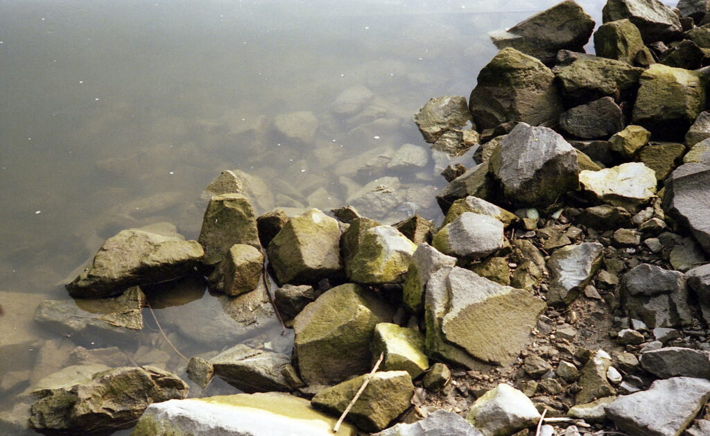 Contax IIIa Sonnar 5cm f1.5 Kodak UC 100-8502