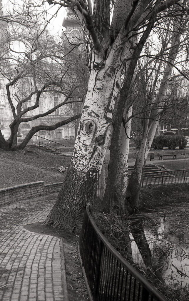 Contax IIIa Sonnar 5cm f1.5 Fomapan 100-8489