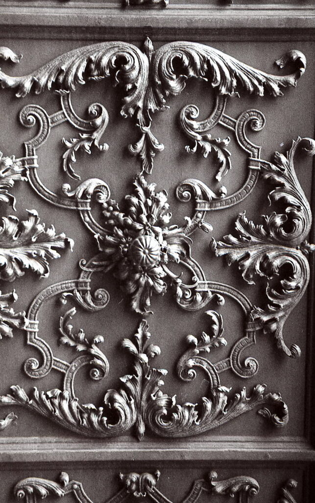 Contax IIIa Sonnar 5cm f1.5 Fomapan 100-8494