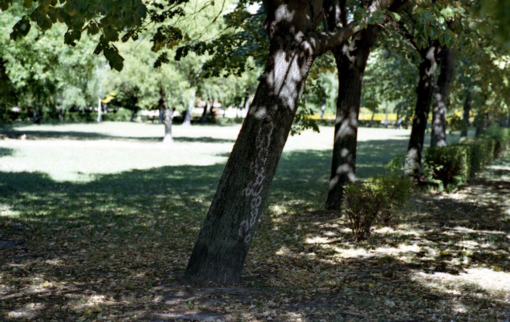 Contax RX Planar 85mm f1.4-Kodak UC 100-6407
