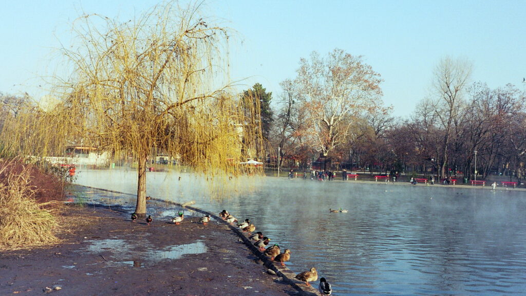 Contax Tix-6910