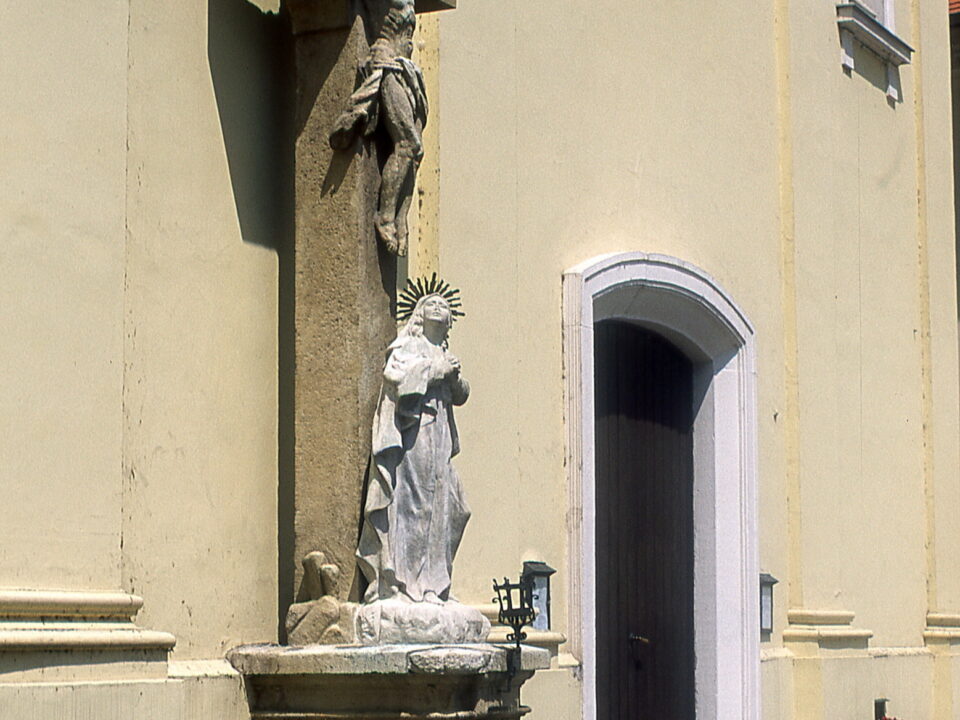 Yashica ML24 Contax RTS Provia100