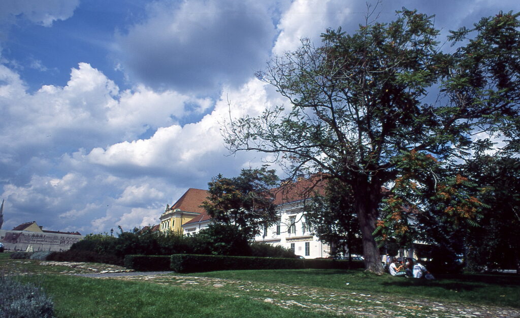 Yashica ML24 Contax RTS Provia100-10121
