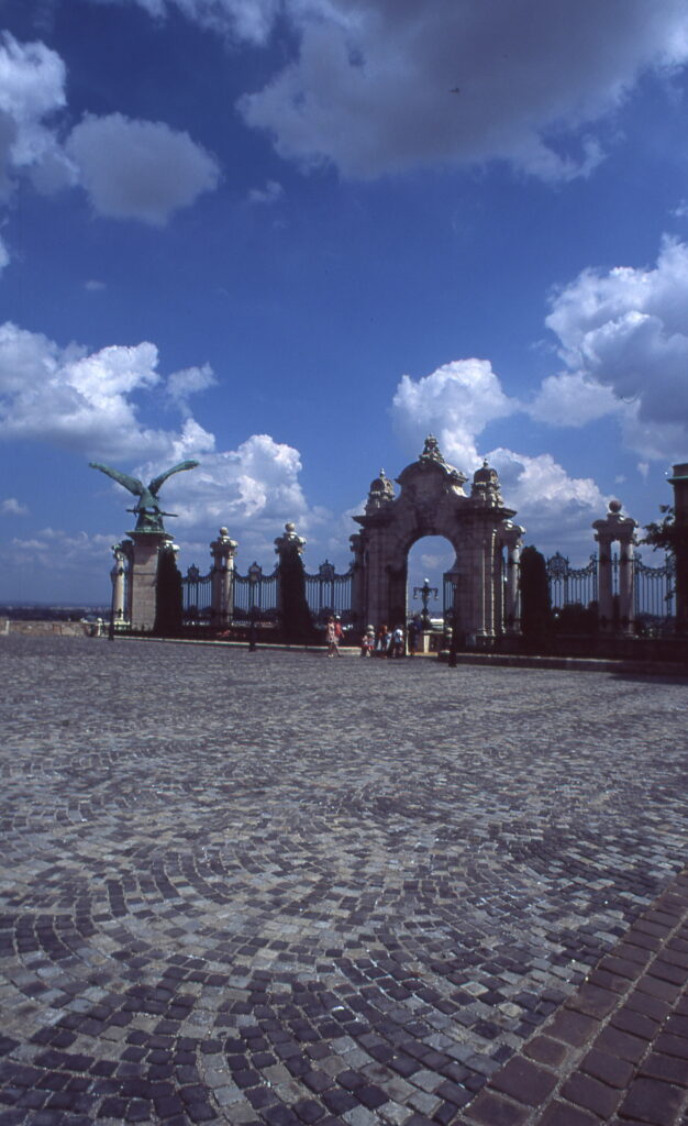 Yashica ML24 Contax RTS Provia100-10124