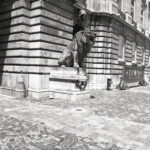 Exakta RTL-1000 Flektogon 25mm f4 Agfa APX 100-9028