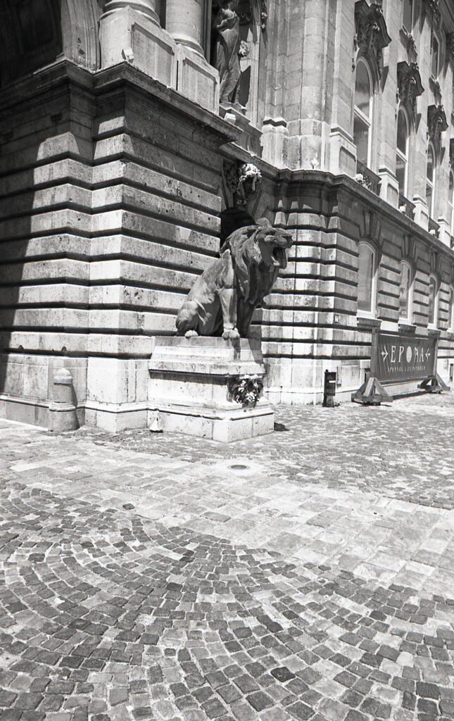 Exakta RTL-1000 Flektogon 25mm f4 Agfa APX 100-9028