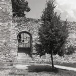 Exakta RTL-1000 Flektogon 25mm f4 Agfa APX 100-9029