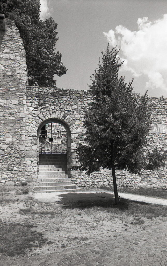 Exakta RTL-1000 Flektogon 25mm f4 Agfa APX 100-9029