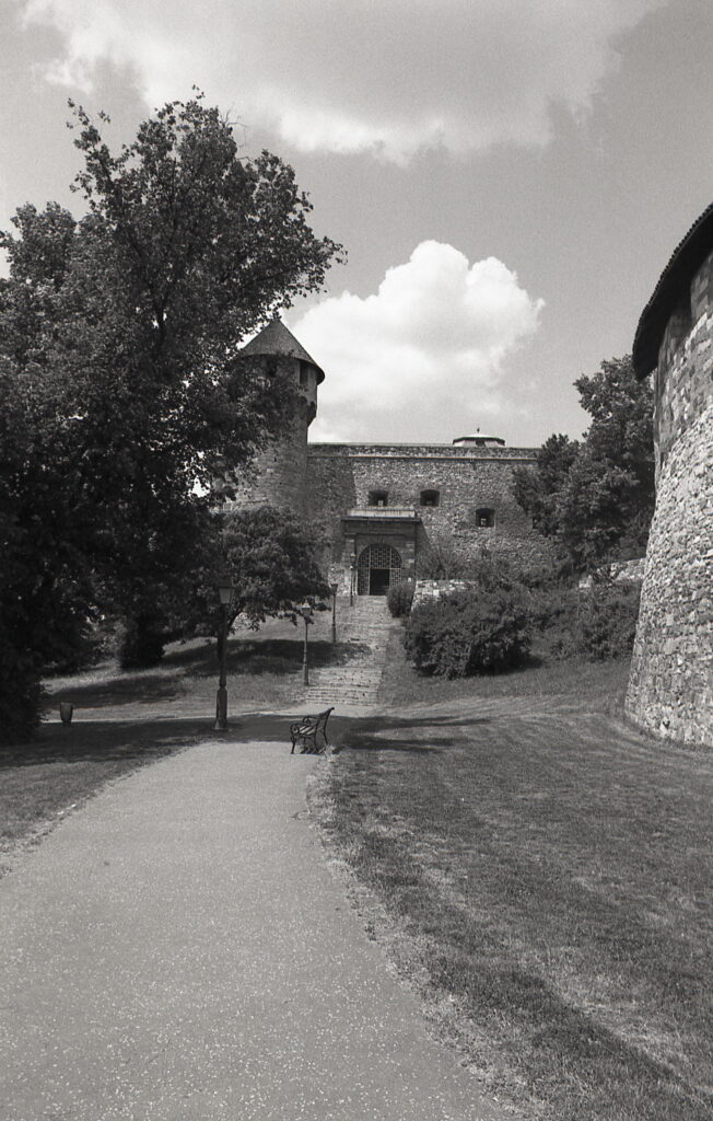 Exakta RTL-1000 Flektogon 25mm f4 Agfa APX 100-9030