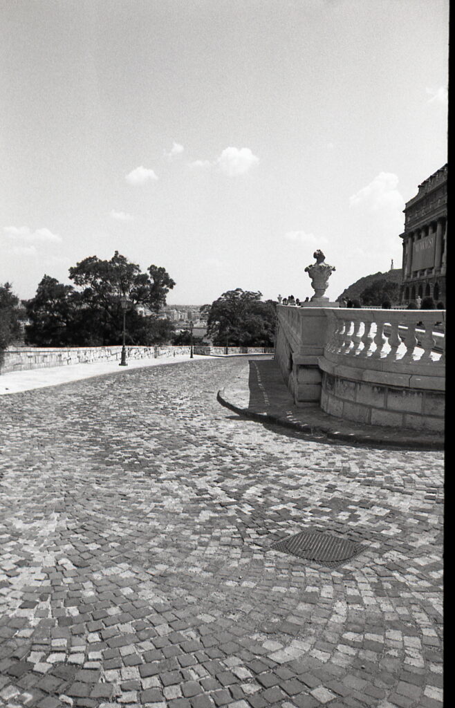 Exakta RTL-1000 Flektogon 25mm f4 Agfa APX 100-9035