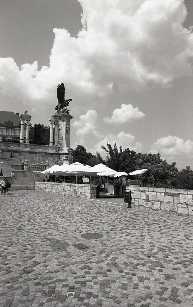 Exakta RTL-1000 Flektogon 25mm f4 Agfa APX 100-9036