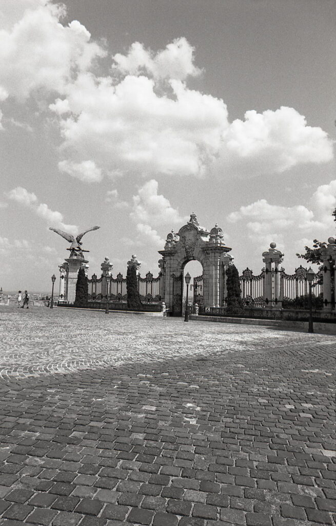 Exakta RTL-1000 Flektogon 25mm f4 Agfa APX 100-9038