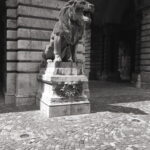 Leica-R 3 MO Electronic Elmarit 28mm f2.8 S7-8889