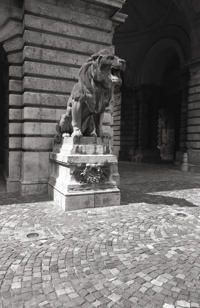 Leica-R 3 MO Electronic Elmarit 28mm f2.8 S7-8889