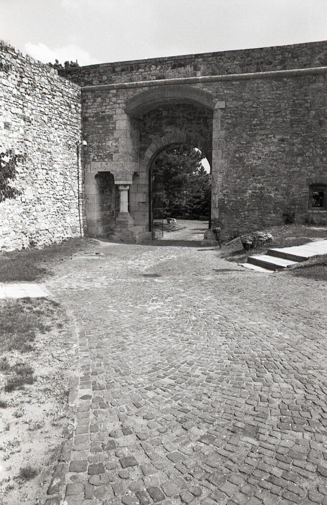 Leica-R 3 MO Electronic Elmarit 28mm f2.8 S7-8892