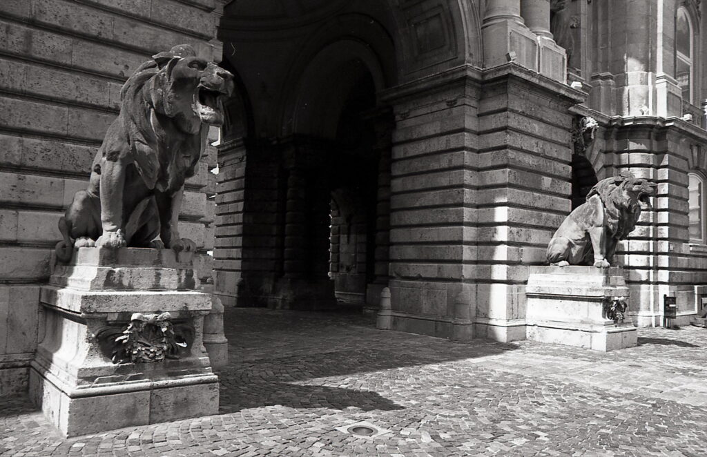 Leica-R 3 MO Electronic Elmarit 28mm f2.8 S7-8893