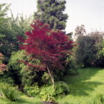 Pentacon Six-6025