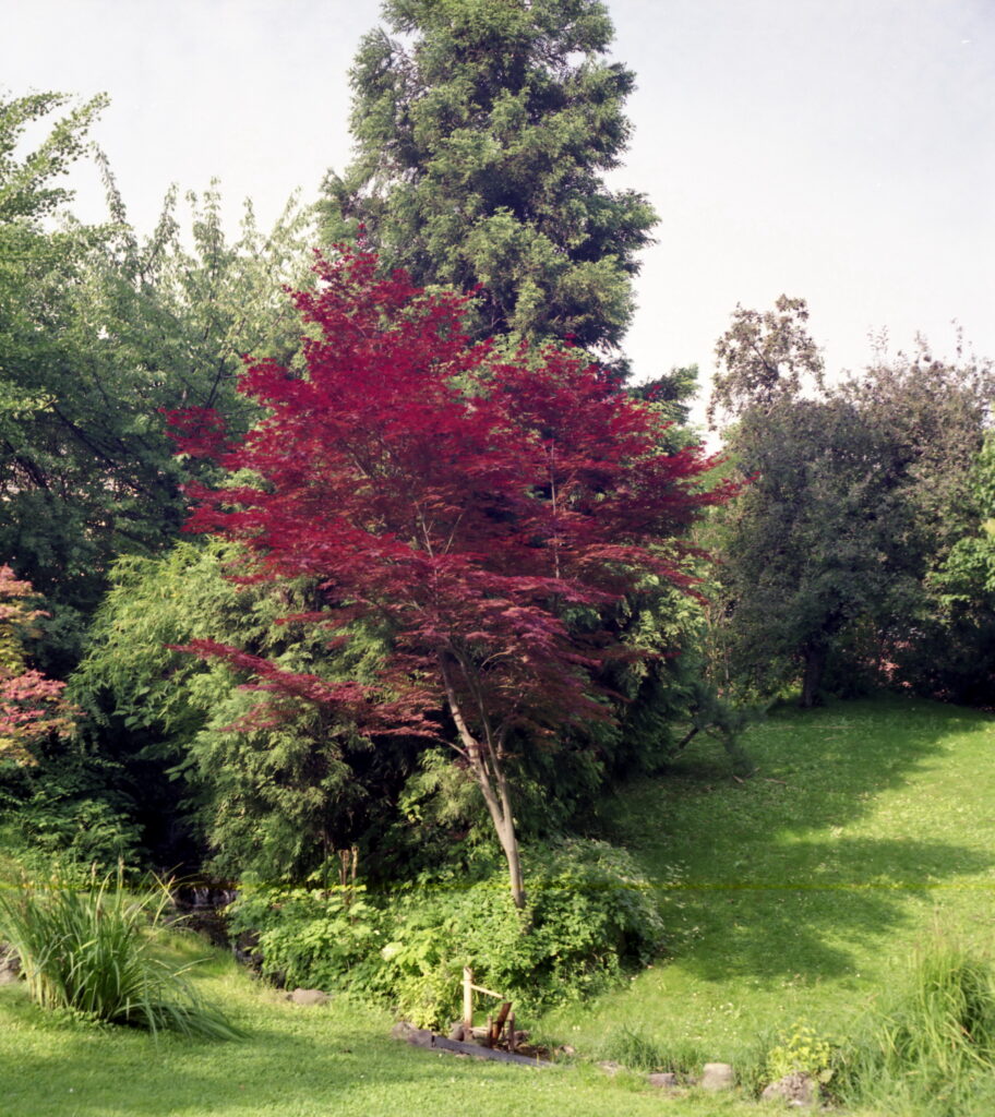 Pentacon Six-6025