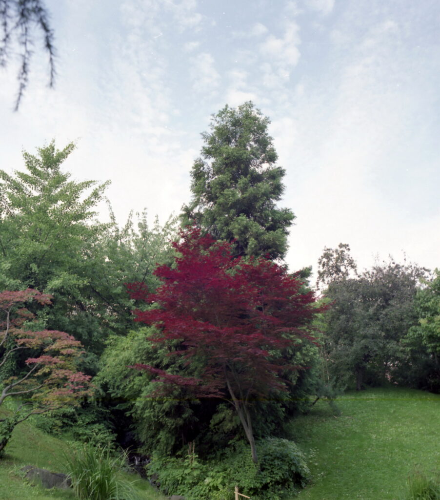 Pentacon Six-6026