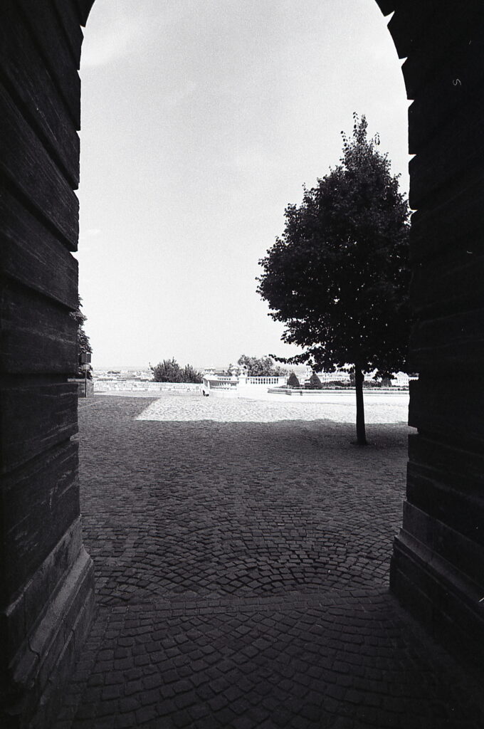 Flektogon 20mm Praktica BC-1-9778