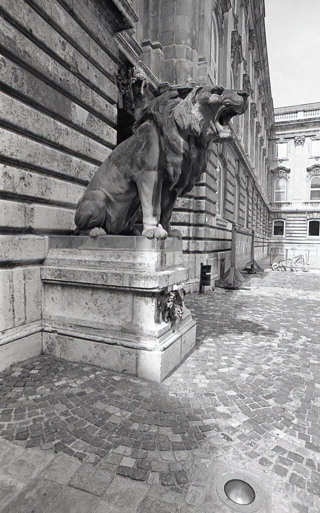 Flektogon 20mm Praktica BC-1-9783