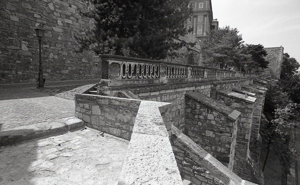 Flektogon 20mm Praktica BC-1-9787